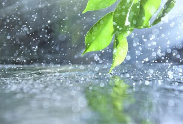 Rain ceremony
